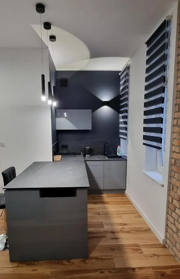 아파트 Apartament Vilda 2 포즈난