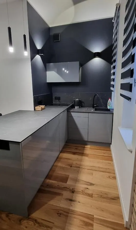 아파트 Apartament Vilda 2 포즈난